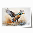 Colorful duck-themed wall art collection featuring vibrant illustrations of various duck species, perfect for home decor, presented in a rolled print format.