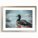 Framed wall art collection showcasing vibrant duck illustrations, elegantly matted and presented in a sleek silver frame, perfect for home decor enhancement.