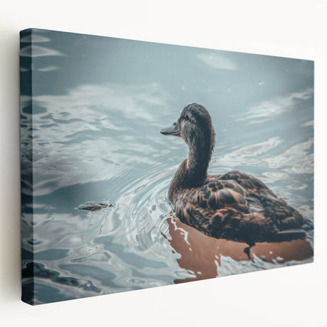Stretched canvas wall art showcasing a vibrant duck design with colorful feathers and intricate details, perfect for home decor or art collection.