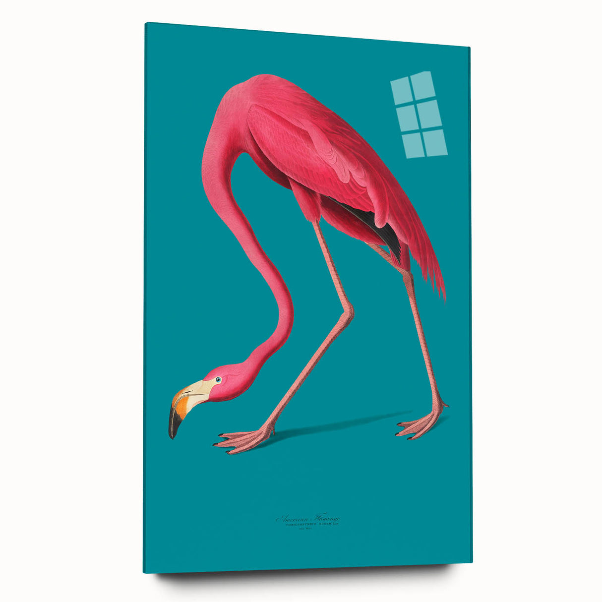 Flamingo-themed wall art design showcased in acrylic glass, highlighting vibrant pink birds against a colorful backdrop, perfect for modern home decor.