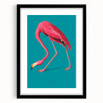 Framed wall art featuring a vibrant flamingo design, showcasing bold pink and green hues, set against a sleek black mat, ideal for modern home decor.