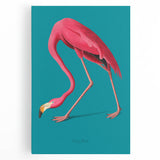 Vibrant flamingo design wall art on stretched canvas, showcasing vivid pink hues and elegant details, perfect for enhancing modern home decor.