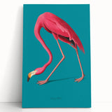 Vibrant flamingo-themed wall art on stretched canvas, showcasing colorful tropical birds amidst lush green foliage, perfect for home decor or art collection.