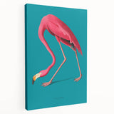 Stretched canvas wall art featuring a vibrant flamingo design in pink and teal hues, perfect for adding a tropical flair to home decor.