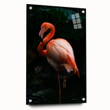 Elegant flamingo wall art design displayed on acrylic glass, showcasing vibrant pink and white colors, ideal for modern home decor and interior styling.