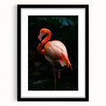 Framed wall art featuring a vibrant flamingo design, showcasing intricate details and vivid colors on a black mat, ideal for modern home decor.