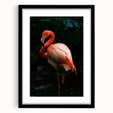 Framed wall art featuring a vibrant flamingo design, showcasing intricate details and vivid colors on a black mat, ideal for modern home decor.