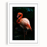Flamingo-themed wall art collection framed in white, showcasing vibrant pink flamingos in a tropical setting, perfect for modern decor and bird lovers.