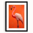 Framed wall art showcasing a vibrant flamingo design against a black mat, perfect for modern home decor. Ideal for adding a tropical touch to any room.