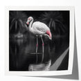 Vibrant flamingo-themed wall art print showcasing colorful tropical designs on a glossy finish, perfect for adding a lively touch to home decor.