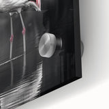Close-up of vibrant flamingo wall art collection printed on acrylic glass, showcasing intricate details and vivid colors, perfect for modern interior decor.