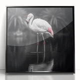 Framed acrylic wall art featuring a vibrant flamingo design, set against a sleek black background, perfect for enhancing modern home decor with a touch of elegance.