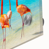 Close-up of a vibrant flamingo design wall art piece, showcasing intricate details and colors on acrylic glass, ideal for modern home decor.