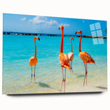 Flamingo-themed wall art collection displayed in a sleek acrylic glass frame, showcasing vibrant pink and orange hues, perfect for modern decor.