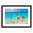 Flamingo-themed wall art collection framed in sleek black, showcasing vibrant pink flamingos against a minimalistic background, ideal for modern decor.