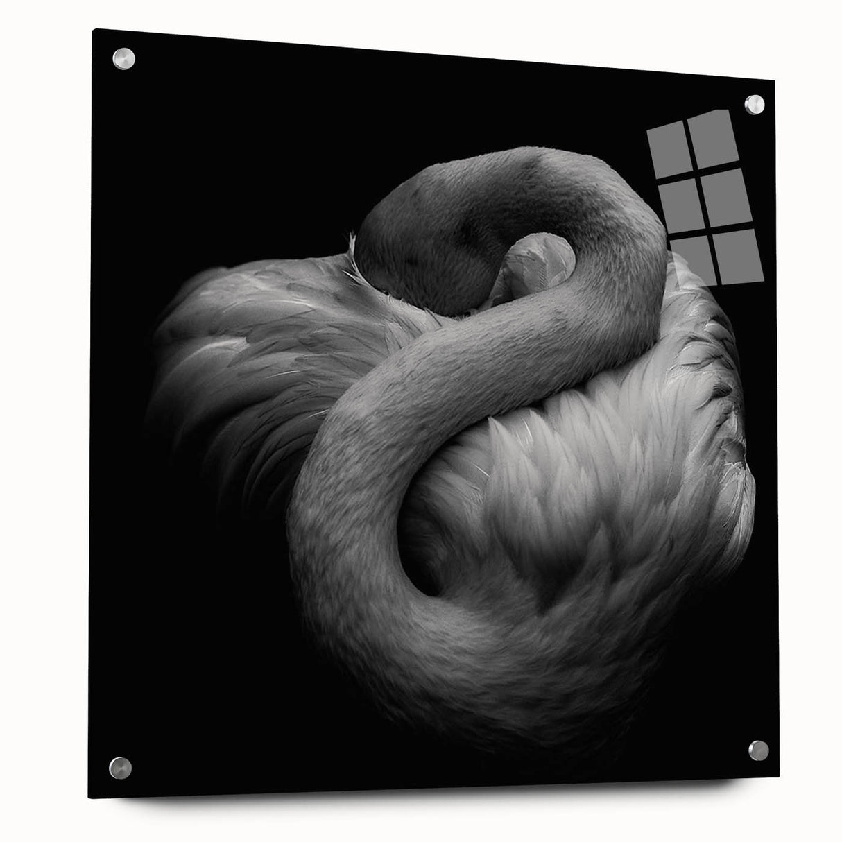 Acrylic wall art featuring a vibrant flamingo design, elegantly displayed from a side view with decorative pins, perfect for adding a tropical touch to home decor.