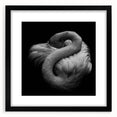 Framed wall art featuring an elegant flamingo design in soft pink and white tones, set against a black background, ideal for modern home decor.
