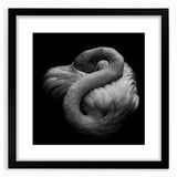 Framed wall art featuring an elegant flamingo design in soft pink and white tones, set against a black background, ideal for modern home decor.