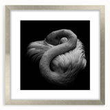 Framed wall art featuring a vibrant flamingo design in a silver frame with a mat, perfect for adding a tropical touch to modern decor. Ideal for bird lovers.