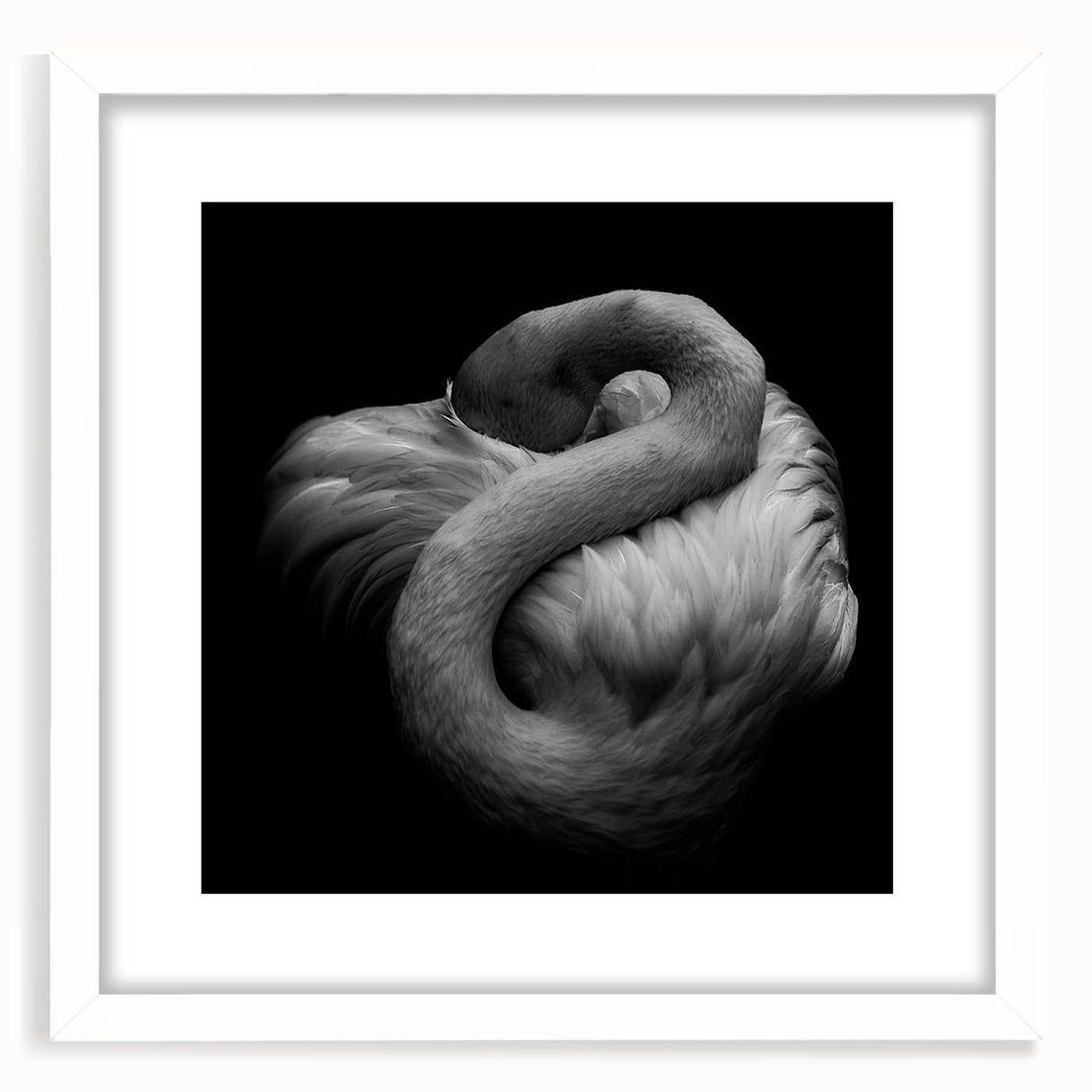 Flamingo wall art collection featuring vibrant pink flamingos in a modern frame with a white mat, perfect for adding a tropical touch to home decor.