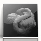 Framed wall art featuring a vibrant flamingo design in a modern acrylic frame with a white finish, perfect for adding a tropical touch to home decor.