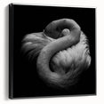 Framed canvas wall art featuring a vibrant flamingo design, showcasing intricate details and a sleek black frame, perfect for adding a modern touch to home decor.