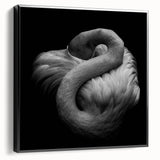 Framed canvas wall art featuring a vibrant flamingo design, showcasing intricate details and a sleek black frame, perfect for adding a modern touch to home decor.