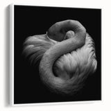 Framed canvas wall art featuring a vibrant flamingo design set against a white background, showcasing tropical aesthetics ideal for modern home decor.