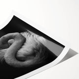 Vibrant flamingo wall art design featuring delicate pink and white birds against a lush green background, perfect for adding a tropical touch to home decor.