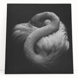 Vibrant flamingo-themed stretched canvas wall art featuring a colorful tropical design, perfect for enhancing modern home decor with a playful touch.