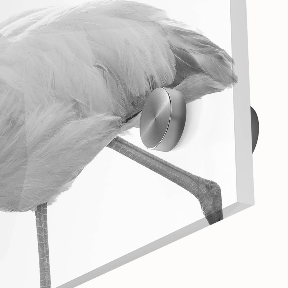Close-up of a vibrant flamingo-themed wall art design showcasing intricate details and vivid colors, perfect for modern home decor. This acrylic-glass artwork adds a tropical touch to any room, enhancing aesthetic appeal with its artistic flair.
