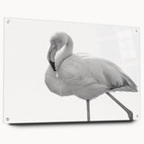 Side view of a vibrant flamingo-themed wall art design displayed in acrylic glass, showcasing colorful imagery and unique pin details ideal for modern decor.