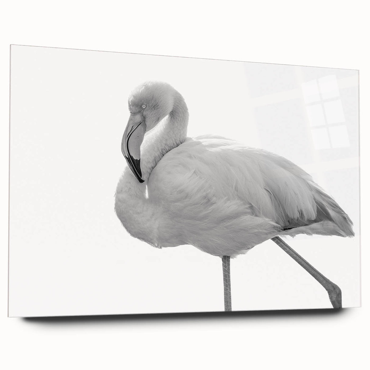 Acrylic glass wall art featuring a vibrant flamingo design in a side view, showcasing bold colors and intricate details, perfect for modern decor.