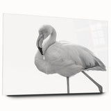 Acrylic glass wall art featuring a vibrant flamingo design in a side view, showcasing bold colors and intricate details, perfect for modern decor.