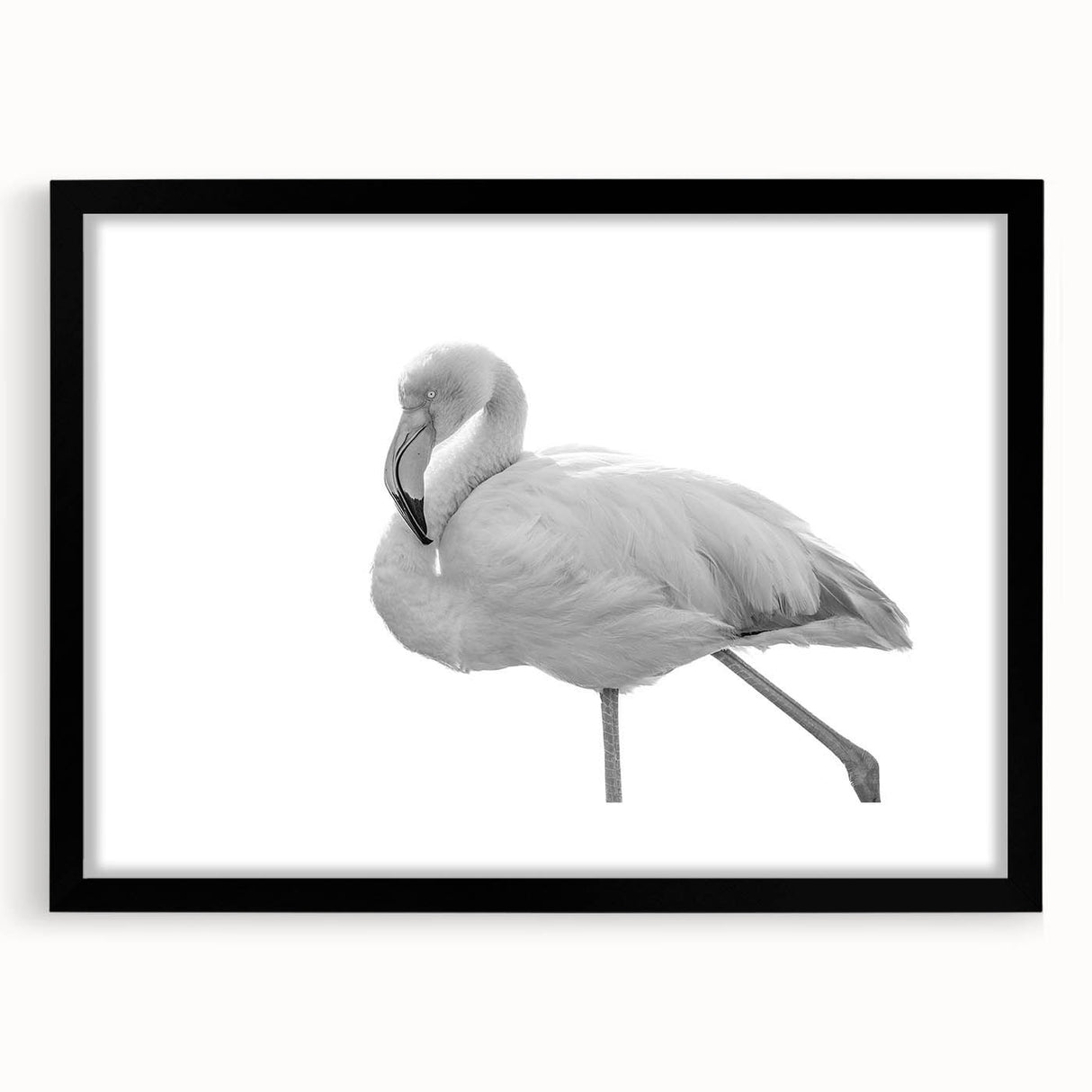 Framed wall art featuring a vibrant flamingo design, set against a sleek black mat, perfect for enhancing modern home decor with a tropical flair.
