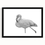 Framed wall art featuring a vibrant flamingo design, set against a sleek black mat, perfect for enhancing modern home decor with a tropical flair.