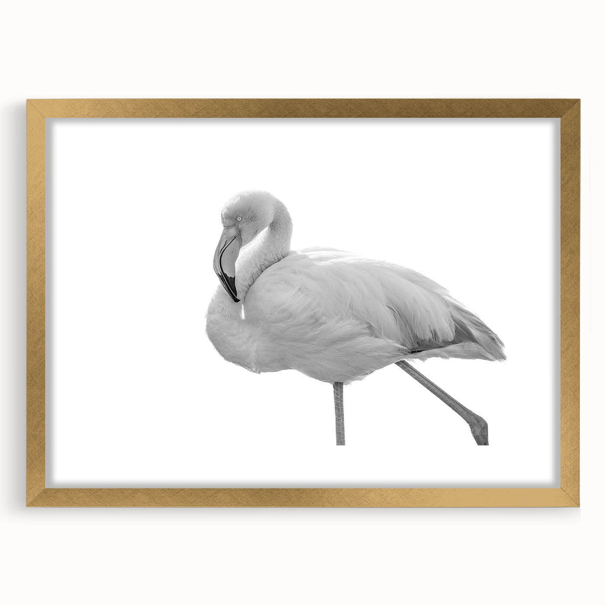 Framed wall art showcasing a vibrant flamingo design in a gold frame, perfect for adding a touch of elegance to any decor. The artwork features intricate details and a mat finish, ideal for enhancing living spaces or offices.
