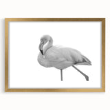 Framed wall art showcasing a vibrant flamingo design in a gold frame, perfect for adding a touch of elegance to any decor. The artwork features intricate details and a mat finish, ideal for enhancing living spaces or offices.
