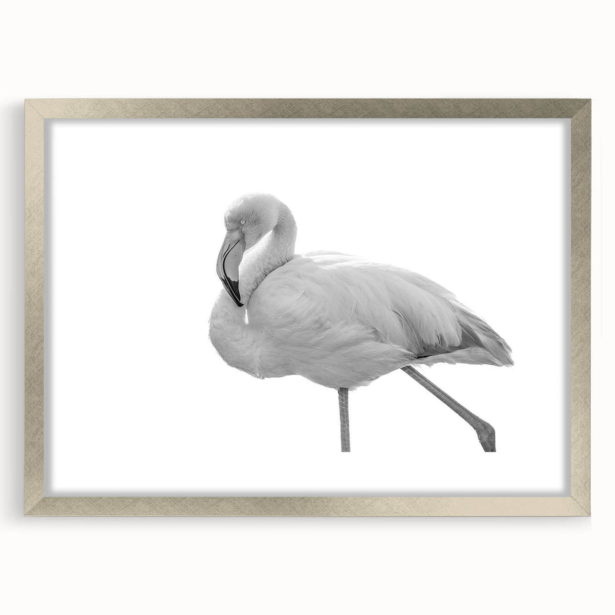 Framed wall art featuring a vibrant flamingo design with a silver mat and frame, perfect for adding a tropical touch to home decor. Ideal for bird lovers and modern interiors.