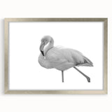 Framed wall art featuring a vibrant flamingo design with a silver mat and frame, perfect for adding a tropical touch to home decor. Ideal for bird lovers and modern interiors.