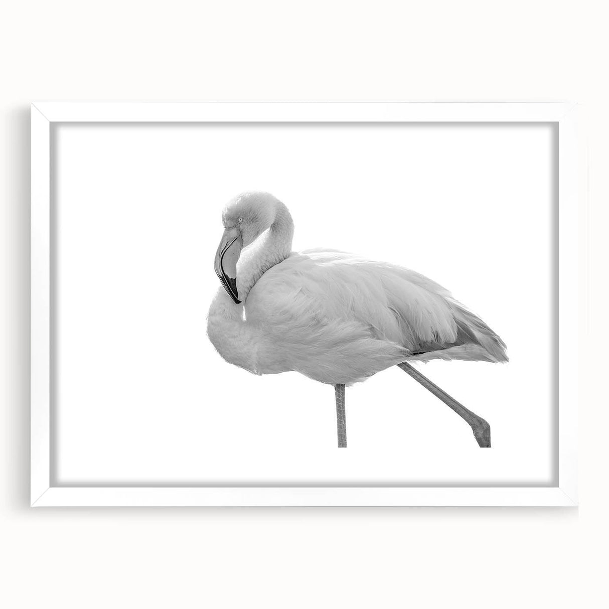Flamingo-themed wall art collection framed in white, showcasing vibrant pink birds against a serene backdrop, perfect for modern home decor. Ideal for adding a touch of elegance to living spaces.