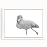Flamingo-themed wall art collection framed in white, showcasing vibrant pink birds against a serene backdrop, perfect for modern home decor. Ideal for adding a touch of elegance to living spaces.