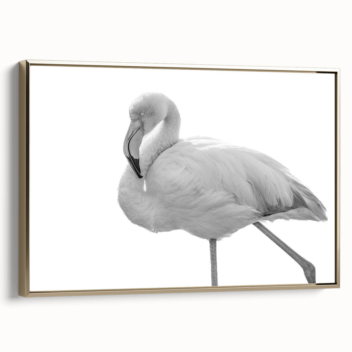 Framed wall art featuring a flamingo design on canvas, set against a gold background, showcasing vibrant colors and intricate details, ideal for home decor.