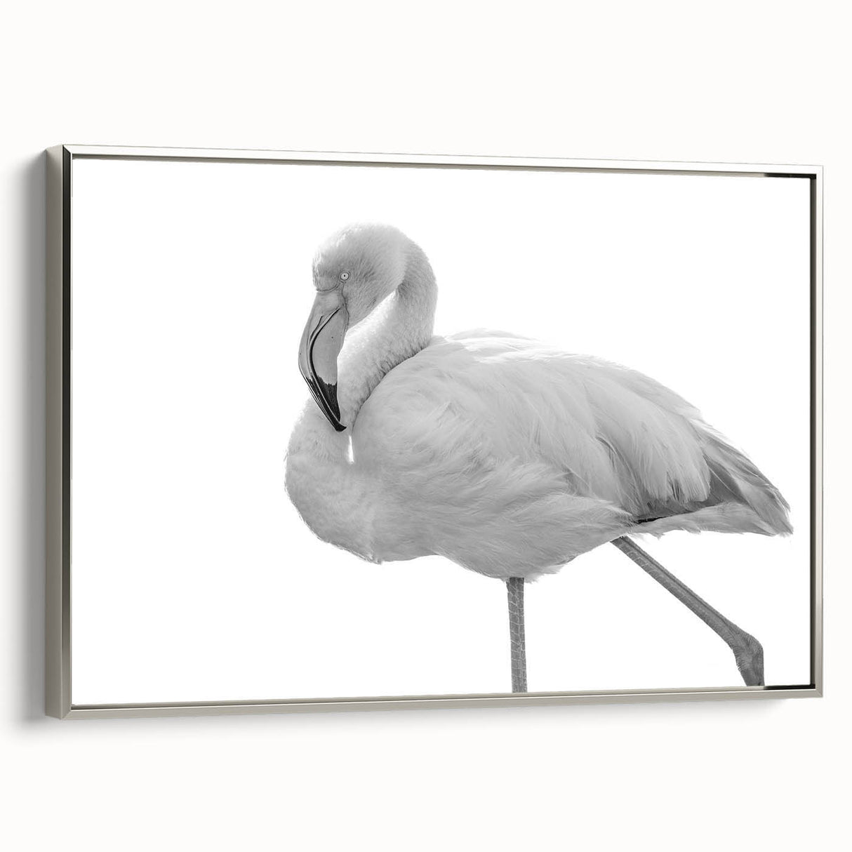 Framed canvas wall art featuring a stunning flamingo design in vibrant colors, elegantly displayed with a silver frame, ideal for enhancing modern decor.
