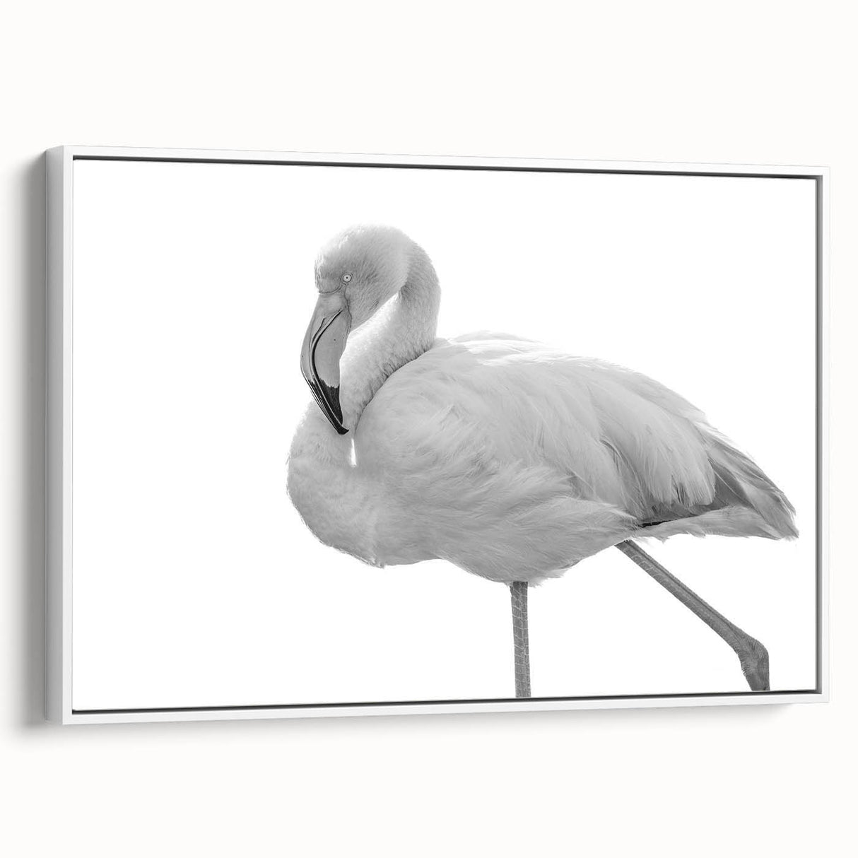 Framed canvas wall art featuring a vibrant flamingo design in shades of pink and white, showcased from a side view, perfect for modern home decor. Ideal for adding a tropical touch to living spaces or offices.
