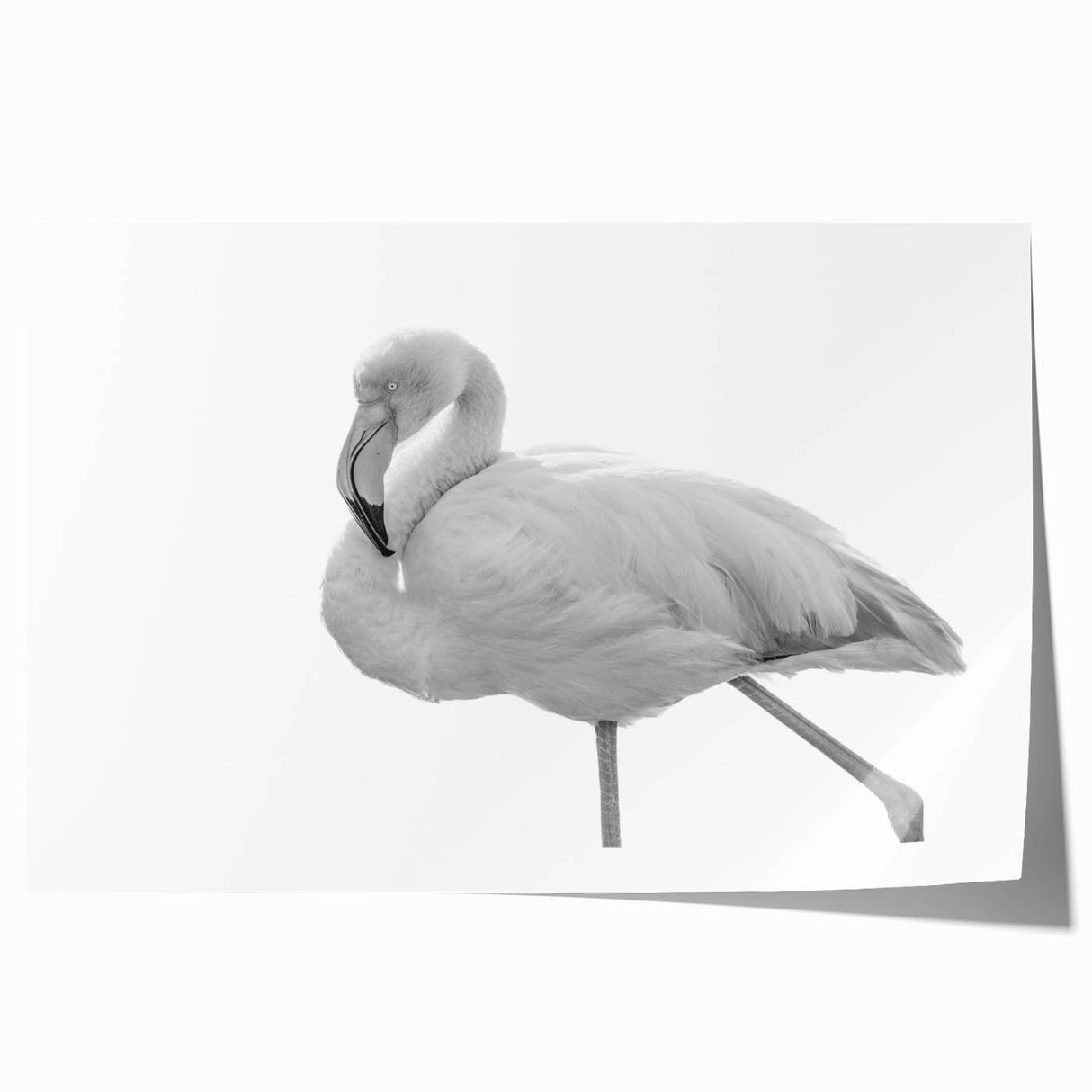 Flamingo wall art print featuring vibrant pink and tropical green hues, perfect for home decor. Rolled and ready for framing, showcasing a stylish design.