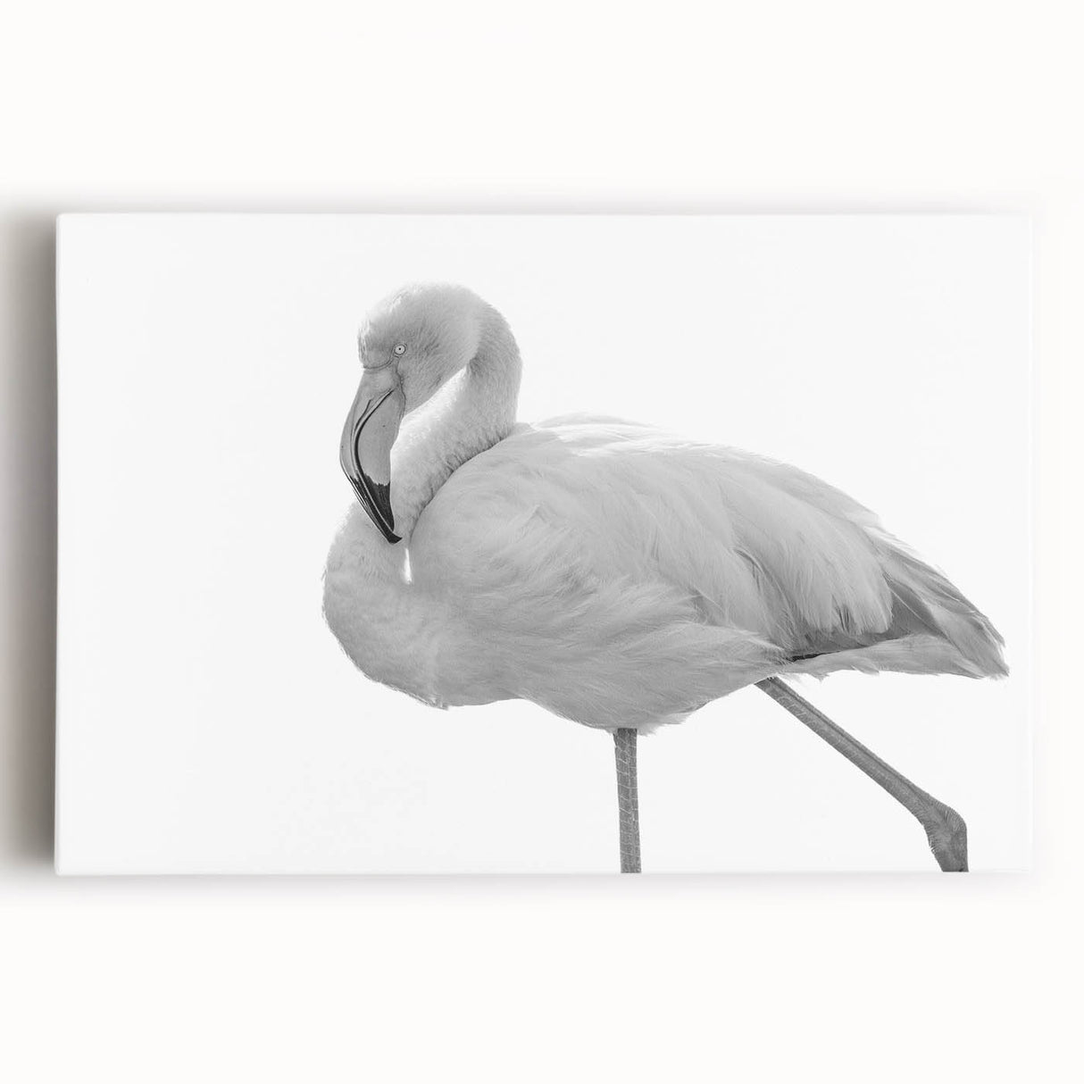 Vibrant flamingo wall art design on stretched canvas, showcasing pink and orange hues in a tropical setting, perfect for home decor or art enthusiasts.