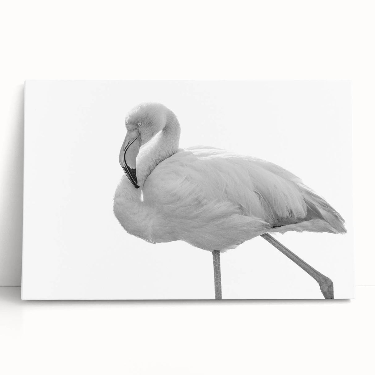 Vibrant flamingo wall art design on stretched canvas, showcasing colorful tropical birds against a soft background, perfect for home decor.