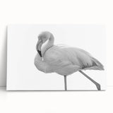 Vibrant flamingo wall art design on stretched canvas, showcasing colorful tropical birds against a soft background, perfect for home decor.
