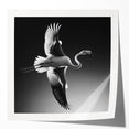 Flamingo-themed wall art print showcasing vibrant pink and green colors against a white background, perfect for tropical decor enthusiasts and modern home styling.